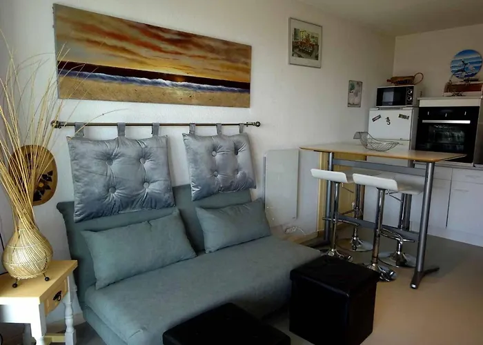 Appartement Climatise Proche Avec Parking Au Barcares - Fr-1-782-20 *